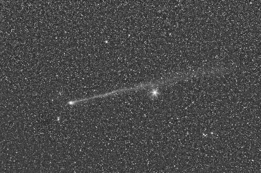 Image of comet McNaught on 2010 June 8