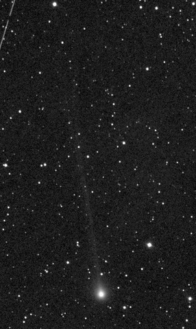 Image of comet Elenin on 2011 August 19