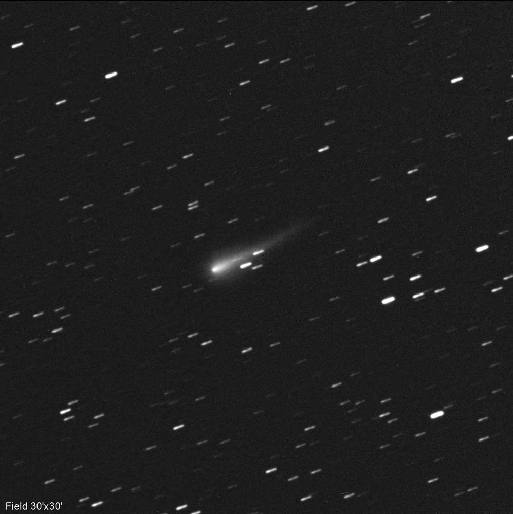 Image of comet ISON on 2013 September 25
