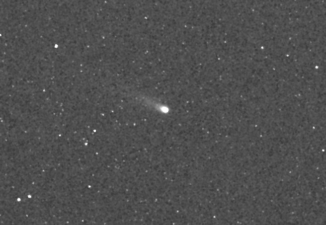 Image of comet ISON on 2013 November 20