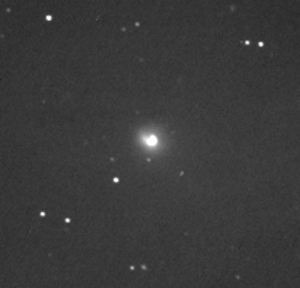 G. Masi and F. Mallia image of 29P exposed on 2004 June 23