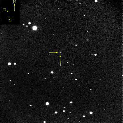 R. Naves image of 60P exposed on 2006 February 25