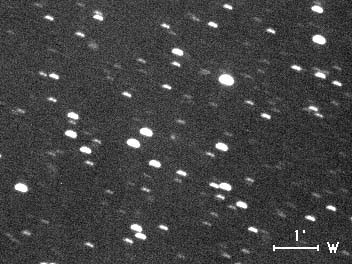 A. Nakamura image of 61P exposed on 2000 July 26