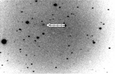 Puckett and Siegert photo of 71P exposed on 1995 December 10