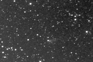 Giovanni Sostero image of 185P exposed on 2001 August 21