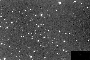 Giovanni Sostero photo of 204P exposed on 2002 March 4